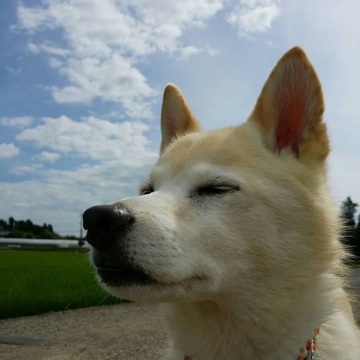 054683e6 81f1 4f29 a3d2 9ae0e1bd69d0