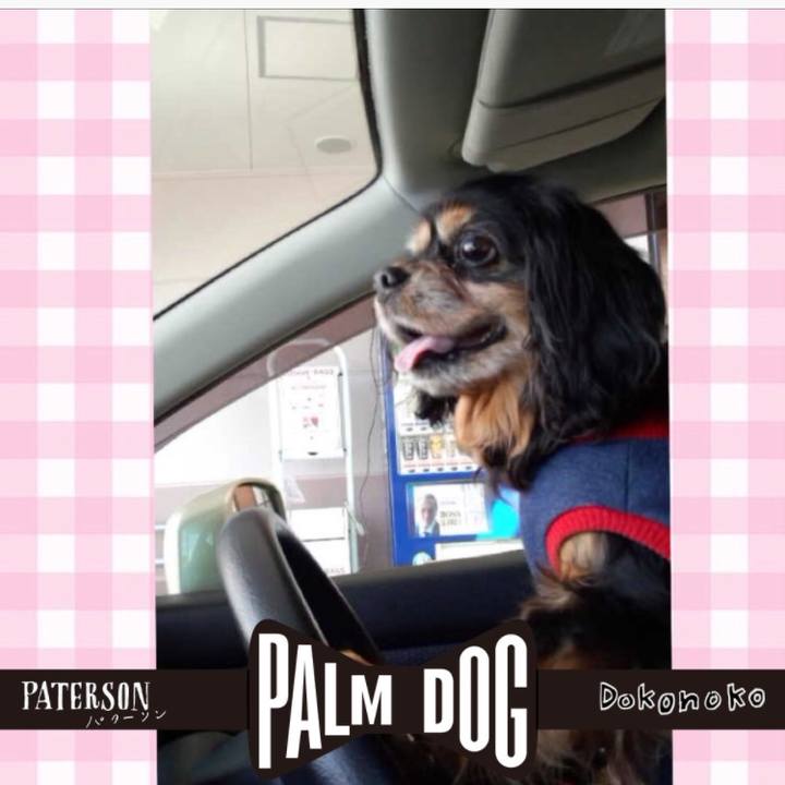 0546cccc 89c2 4534 955a 9295fd576ca2