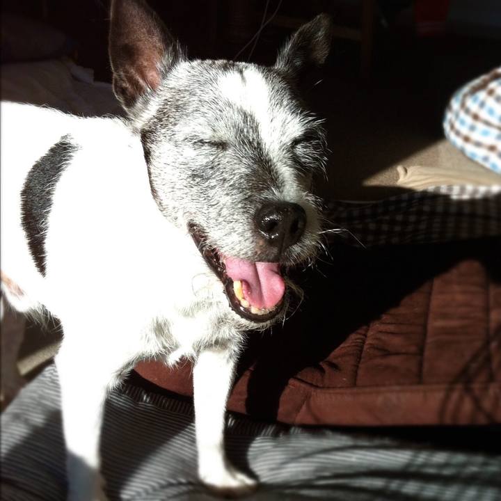 05473a9f a7bc 4fc9 92d2 03c349716be8