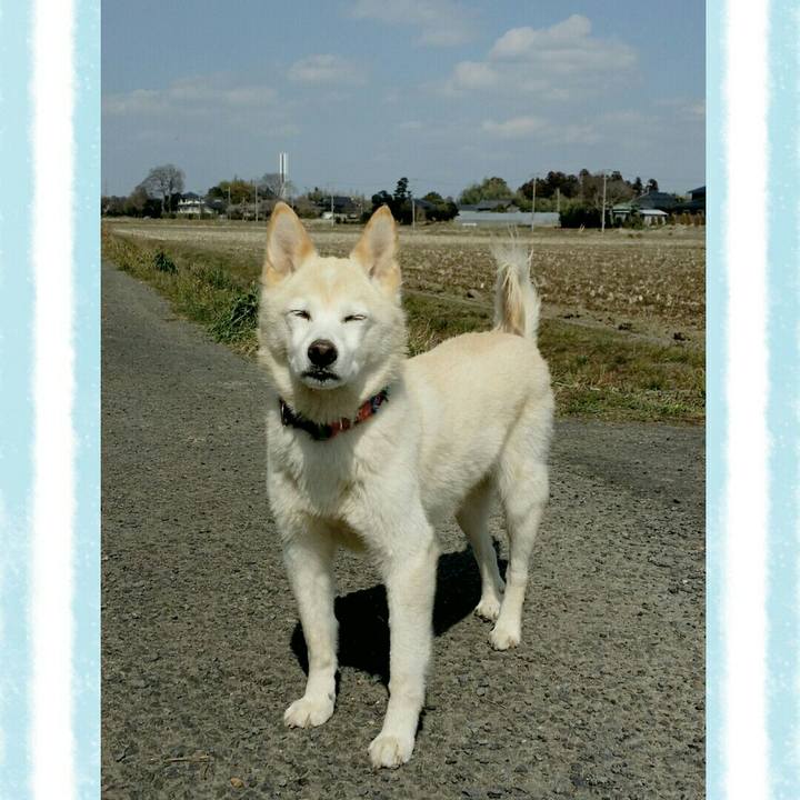 0547be48 9646 4c84 9a81 4b3520859471