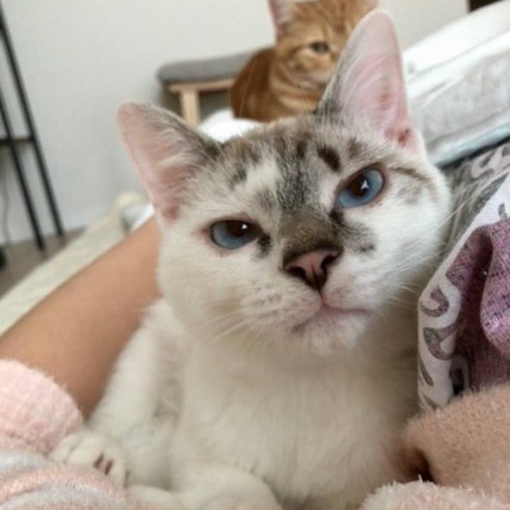 05481e15 fe10 4aea 9a27 fda768370692