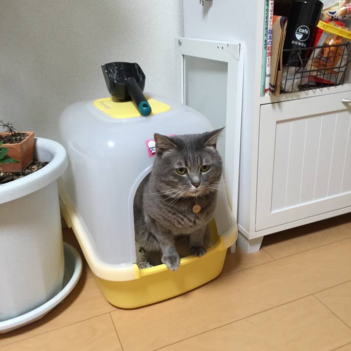 0548e465 9142 4562 94b8 717c7a0356b9