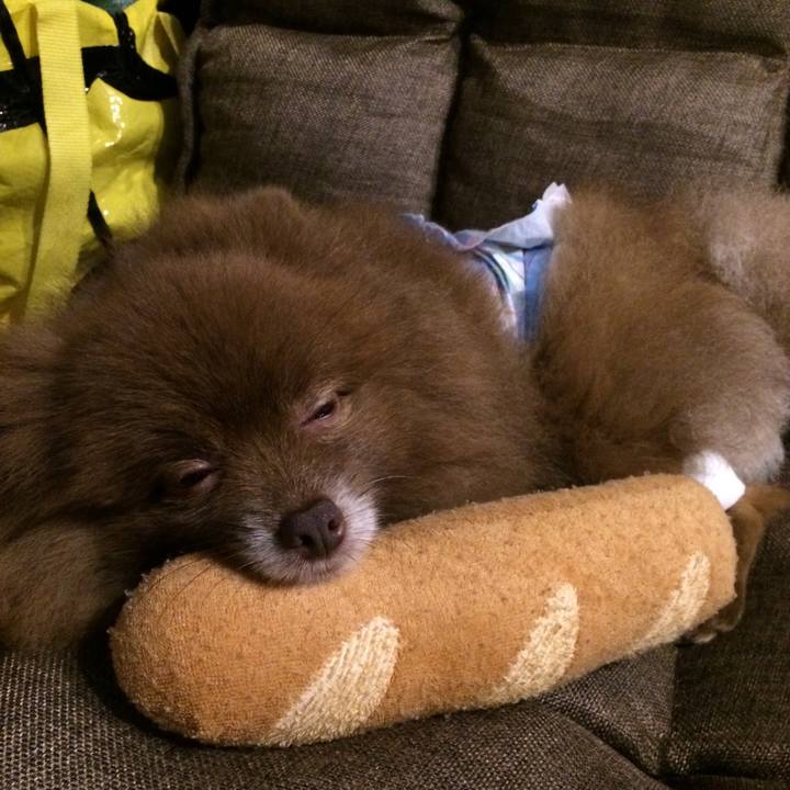 05494e8c 229b 4d75 92e0 b7db1542b45c