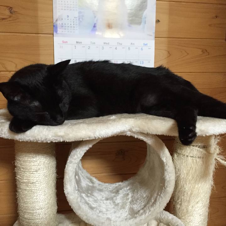 054980ef 4cca 4cb8 a72f 3eecdf960833