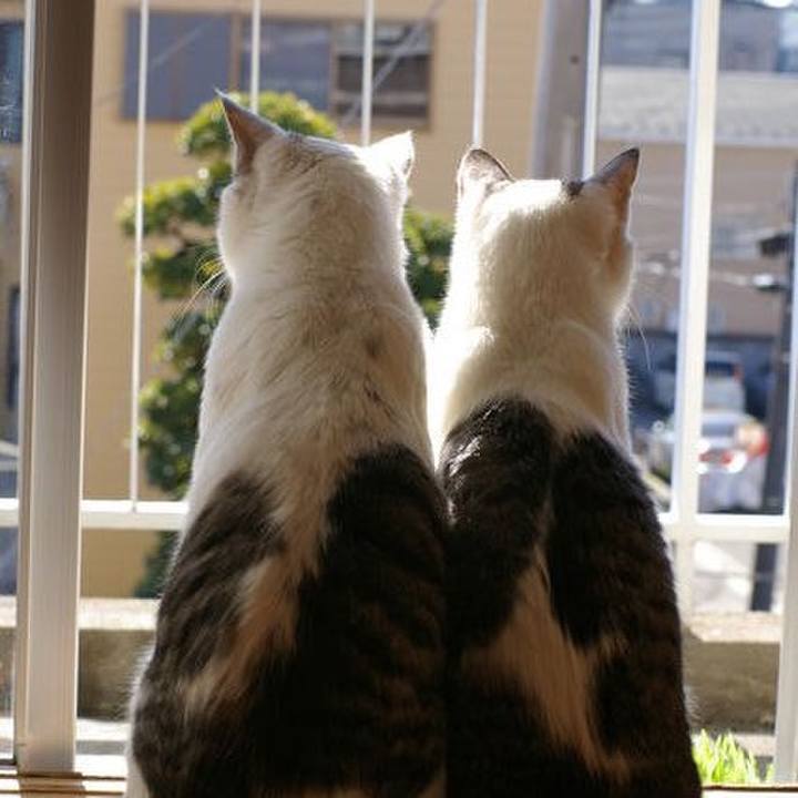 0549f72f e8b3 44a4 8df1 7b50bba07b3f