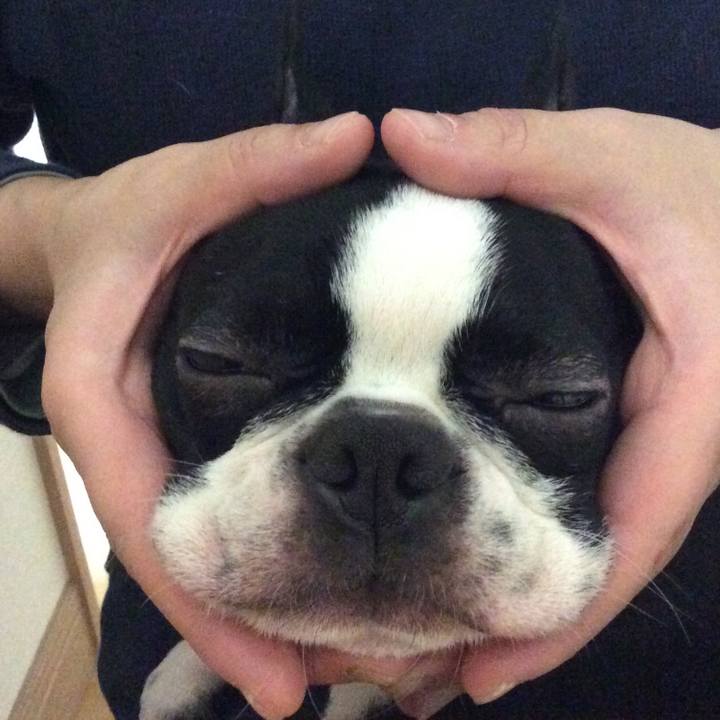 0549ff4d 2b1c 43ae a72f 376e9c5369c8