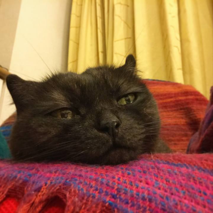 054a6942 5a80 48f7 bd9c 250a601b1d80