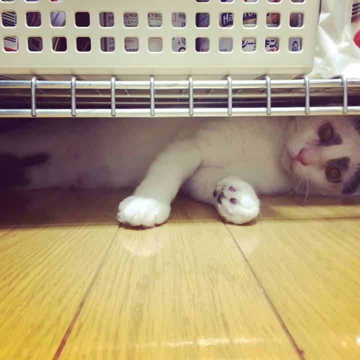 054aa222 fe5c 4191 97ce f1617d875113