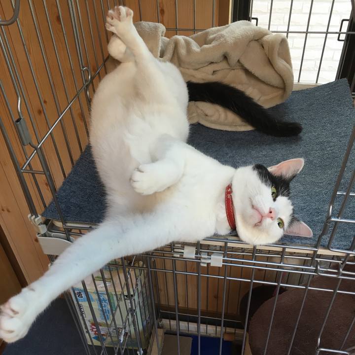 054c56c2 fdfb 4bbd a663 a7fd80248f92