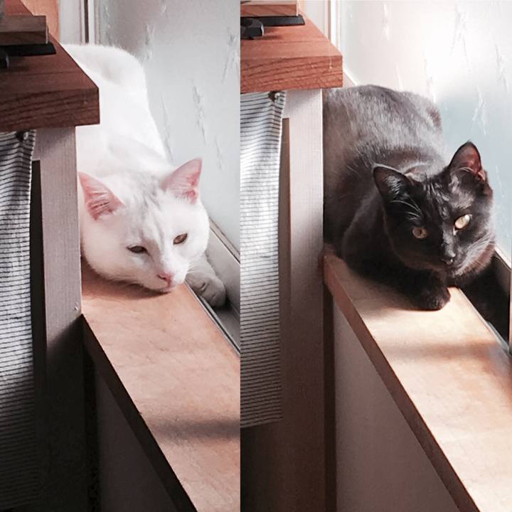 054c8228 67e0 4c80 bebb d7e037f8d66c