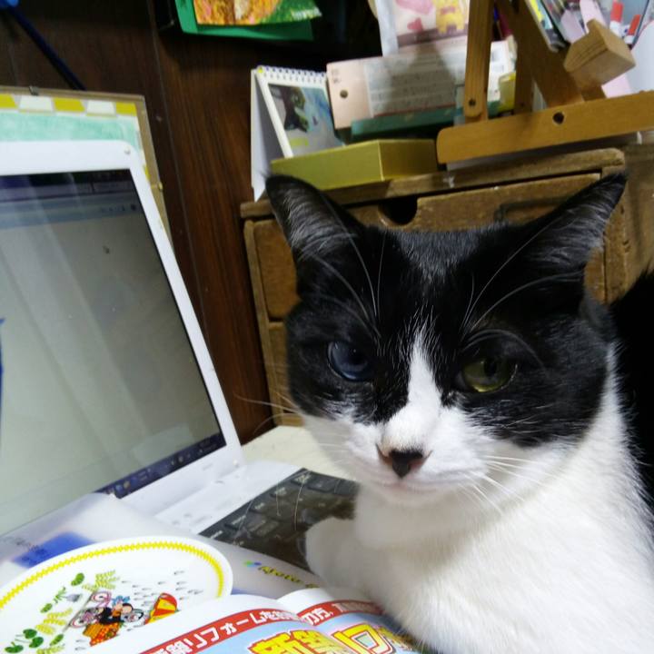 054cf21e 4f9d 40c7 bee2 298b713bdd89