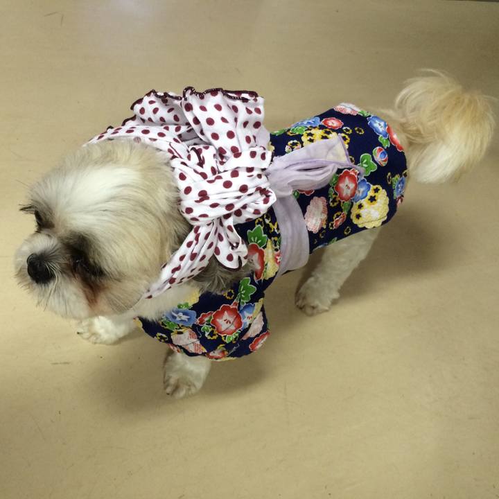 054d324b ebda 401f 97c7 b873584e0b33