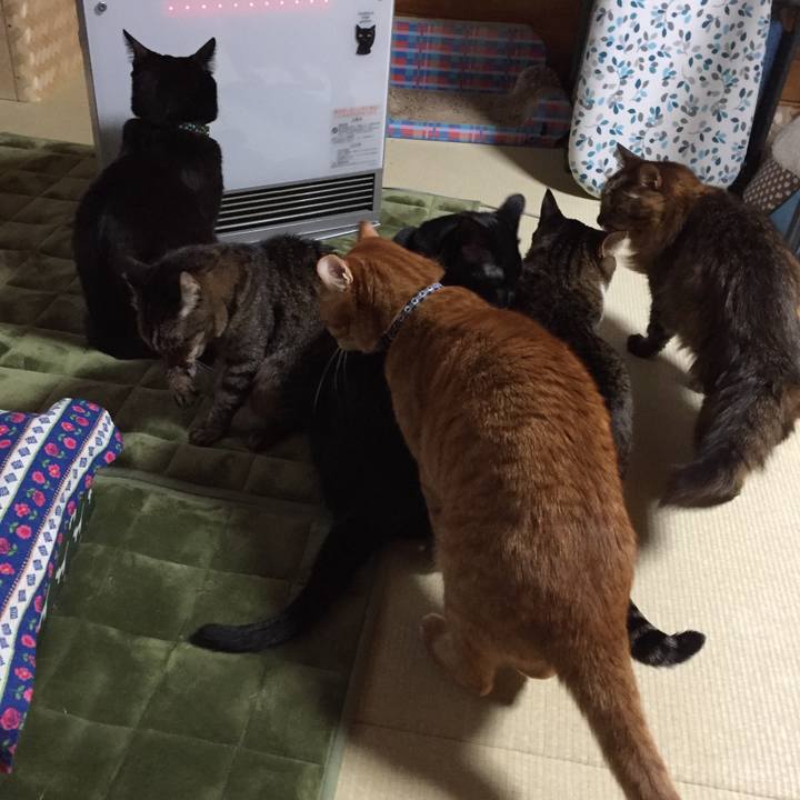 054d8e2f ea33 42bd 8dde da05b01aaf52