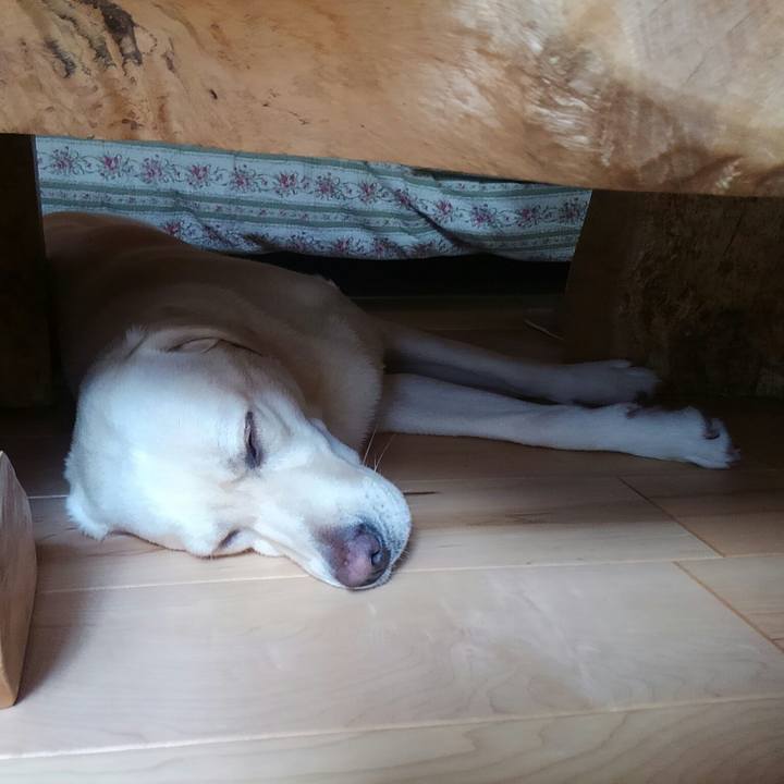 054e17ae 9589 4103 9f86 07a2a1dde14d