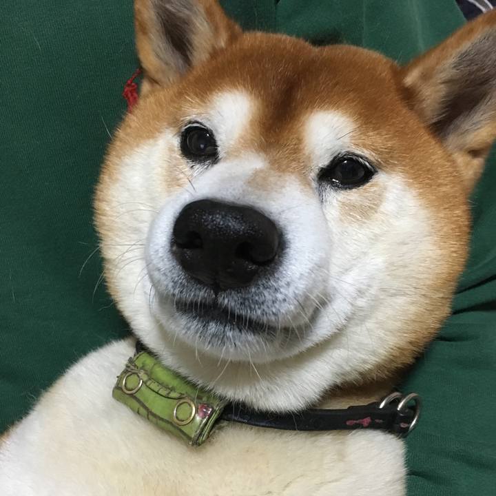 054e9a20 bc77 409b 8247 5452ed640989