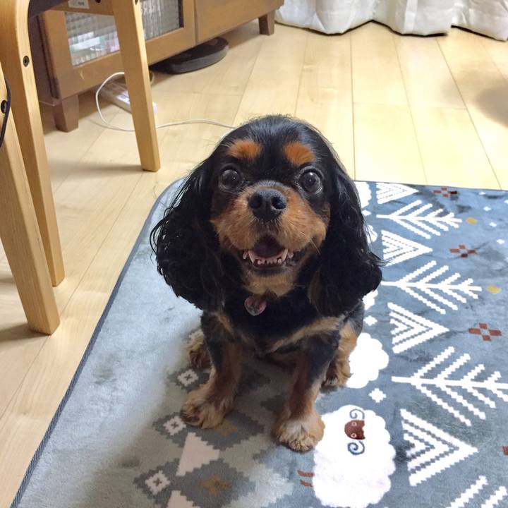 054f268a b878 46f2 bc4d 8dabc351af86