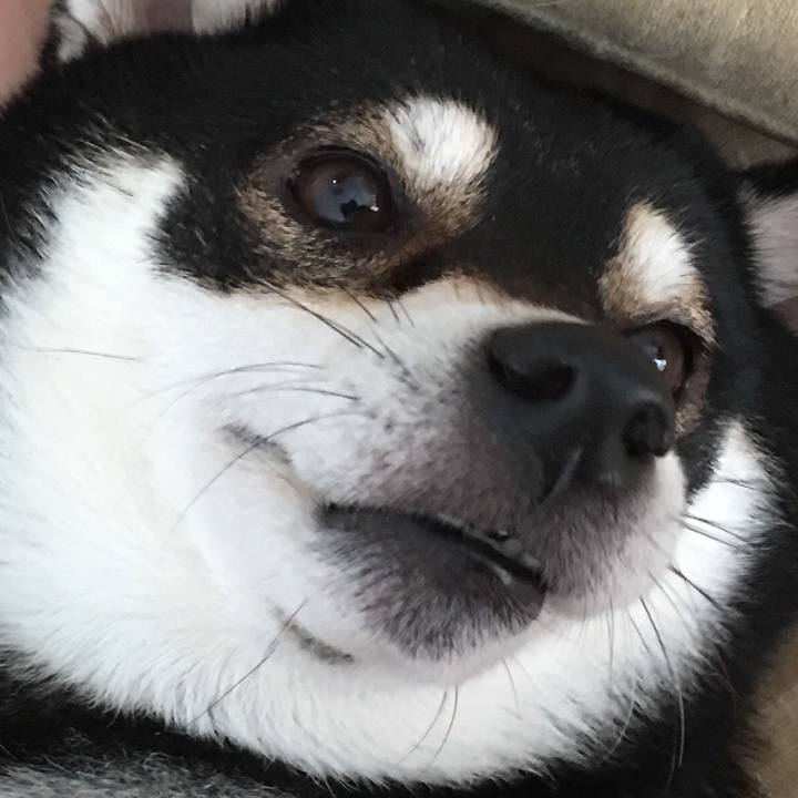 054f92a5 f093 42a8 b594 13fb68483b23