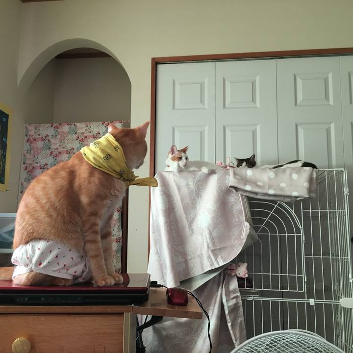 0550033d da64 464f a867 5cb02741cb2e