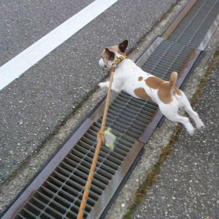 0550331c 42ed 42fc af90 fefbd766f710