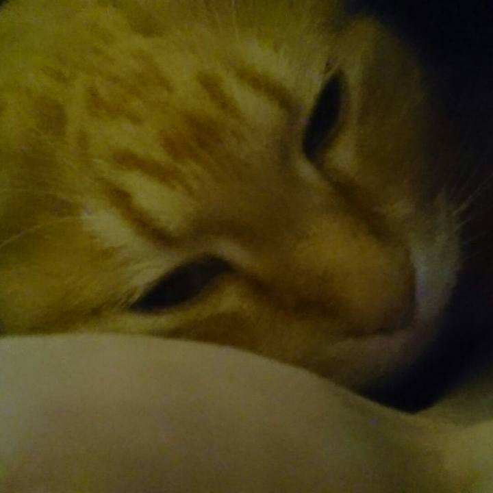 055049cb e46c 4c60 9ea5 ccfc5bf20335