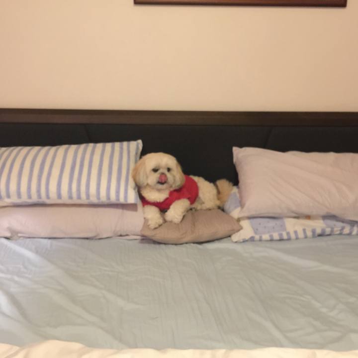 055058a8 78a6 4196 9ceb 320e43fd270f