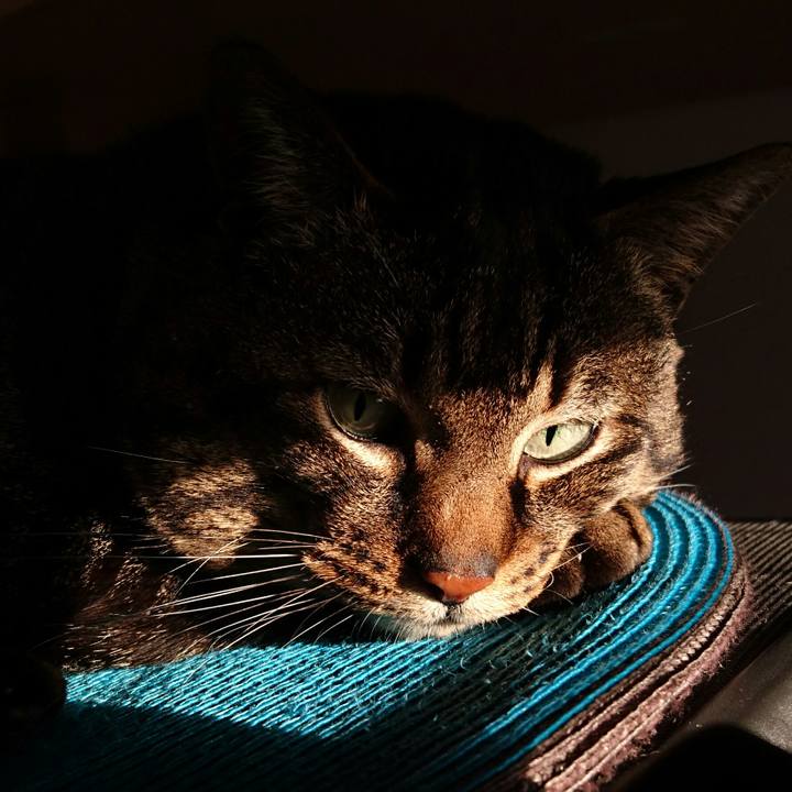 05505b5b 9482 4e86 bef4 033feae86158