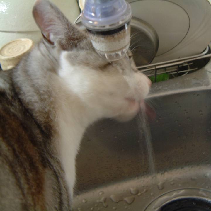 055078dc 24ea 44c0 a31d 64863e9e015f