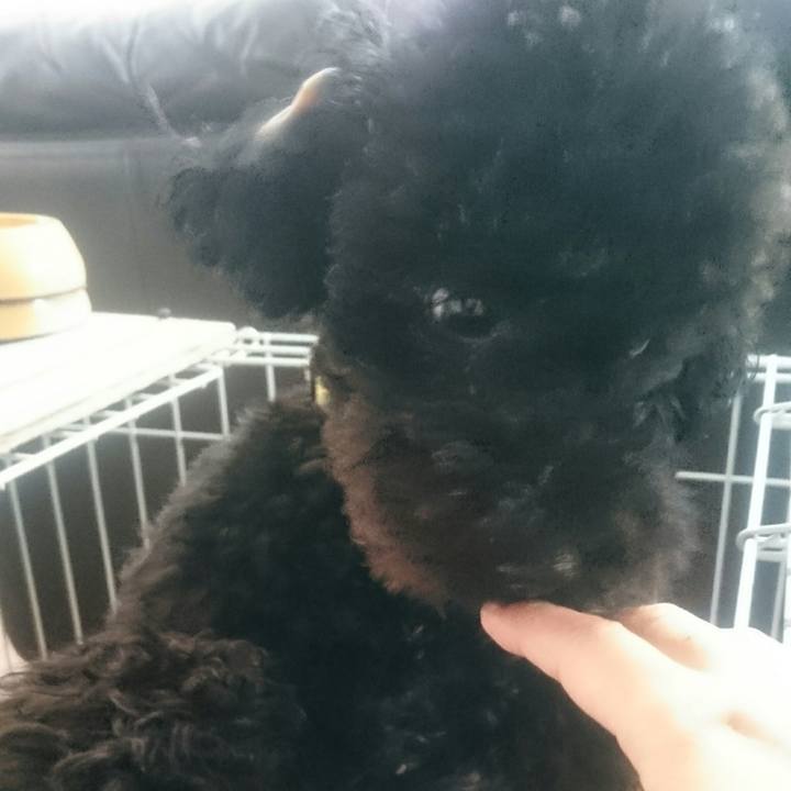 05508e69 0cdd 4440 88e4 62bd34466a10