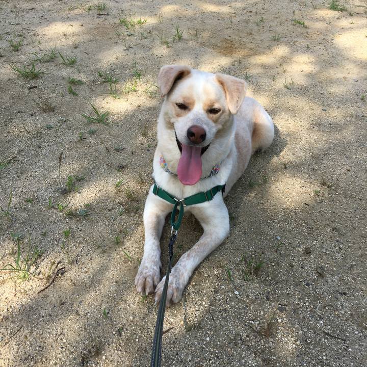 05513b94 c62d 480a aeef fddf095c18ca