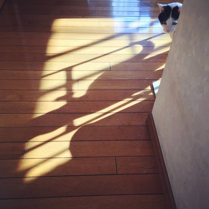 05513c49 bbd8 4c0e ab4d 040b4bc98011