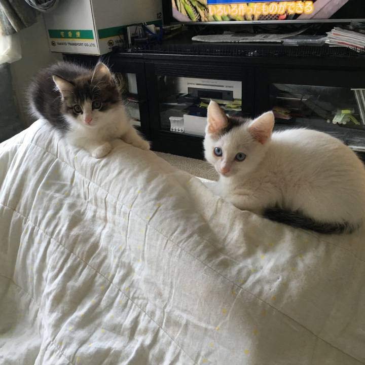 05524f65 9c7b 4c6b 8635 d83b7c1a4e3c