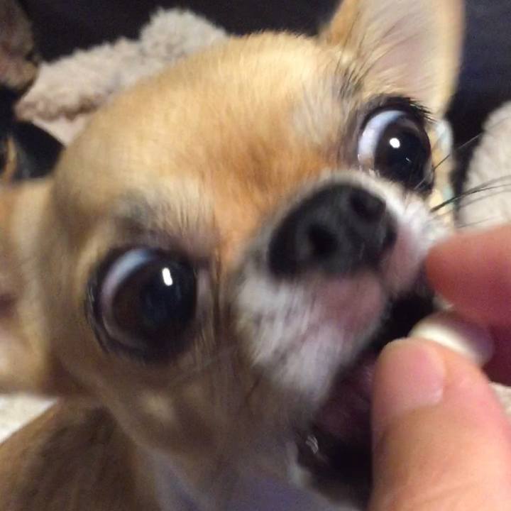 0552c118 30fb 4bf7 b478 75ced99457f9