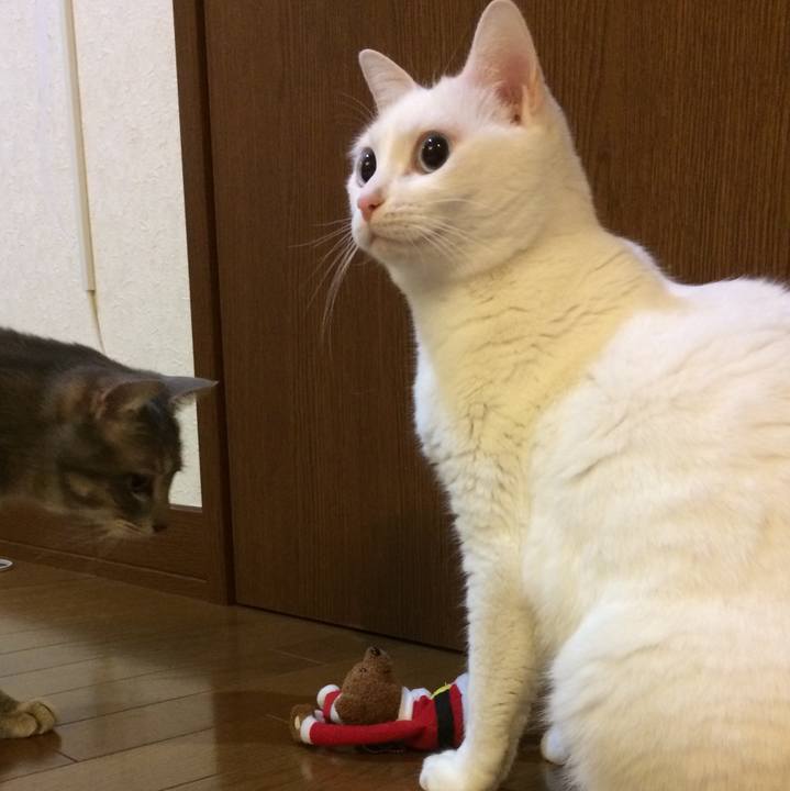 0552d26f 89fe 42fb 8781 4723bc86cdf8