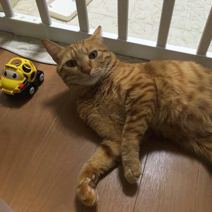 05532c92 864b 4114 9e2d ed04f3acc134