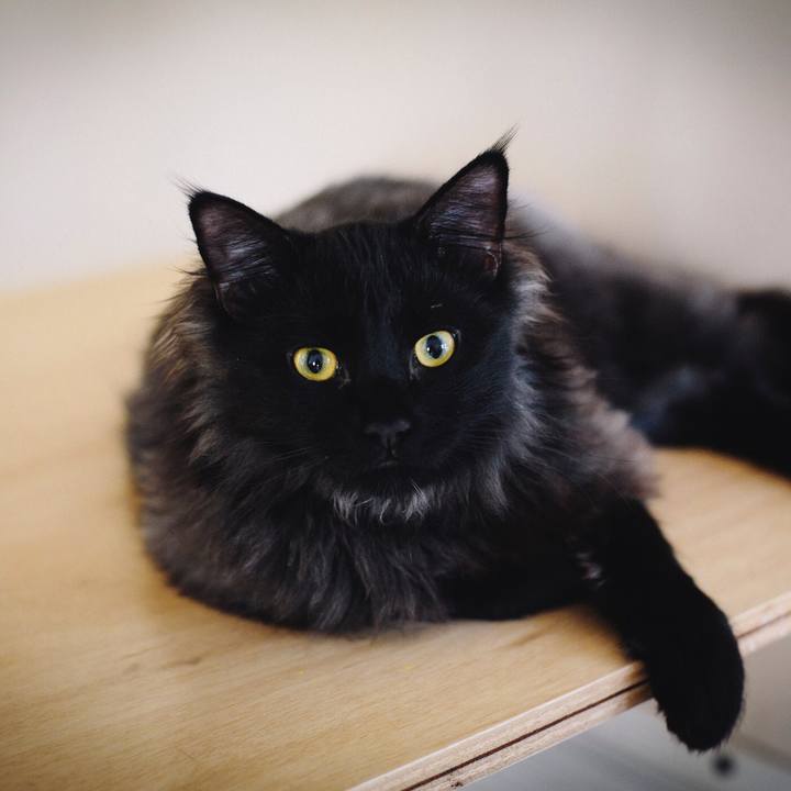 05535dd2 a417 4f1a a46f 21b023eb98f7