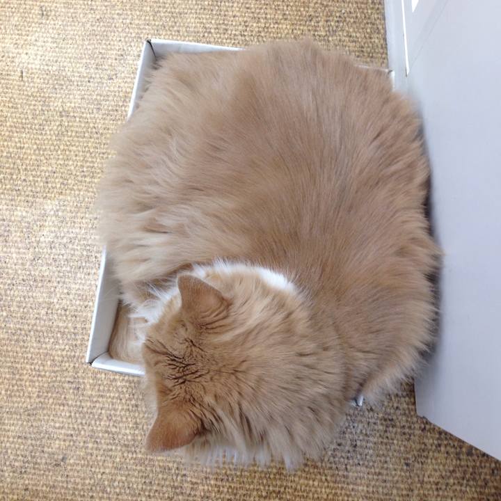 0553c6b8 6a8b 4e9c b80f 3d9cd218f9ff