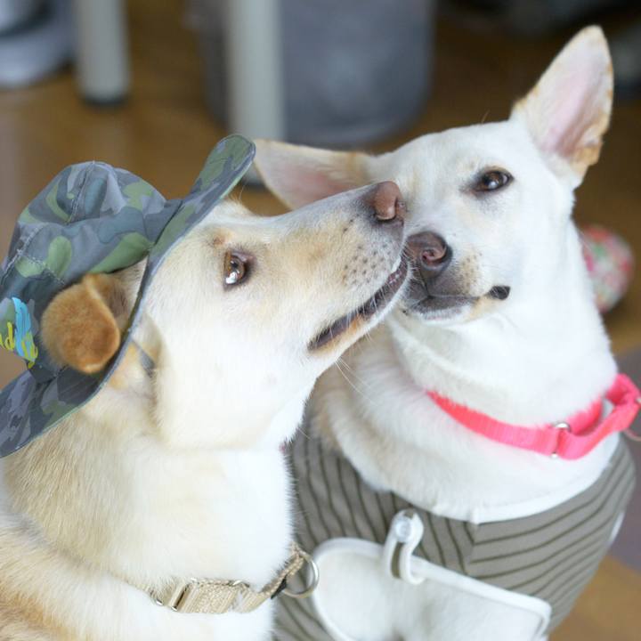 0553cd38 b649 4abd bac7 b308cd26285b