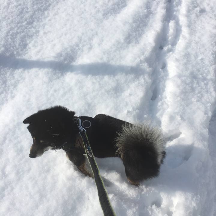 05544f58 4941 4441 a2b6 6772a7cd0e91