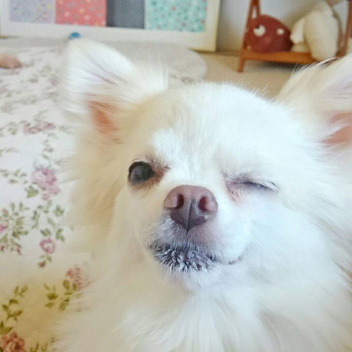 0554a196 8dd1 4721 90ad 9c25aa5979a9