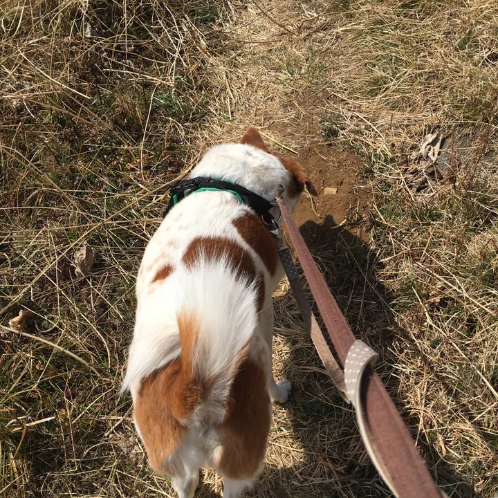 05551382 ab96 4488 beaa 48033a7f64d6