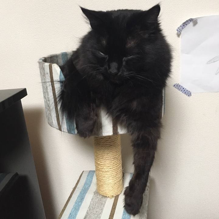 055575ac 1f4e 462f b482 4eb7e328ac65