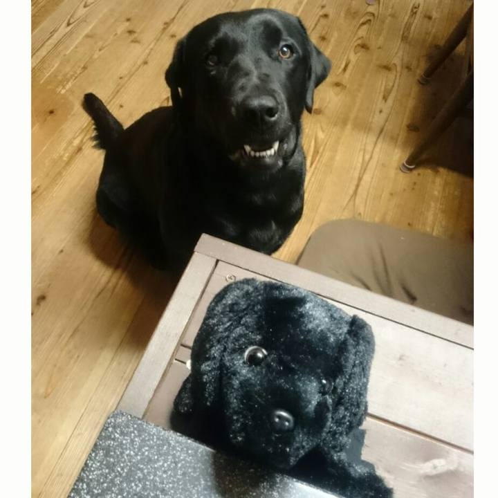 05558977 b01a 42ad a028 708b59236fc1