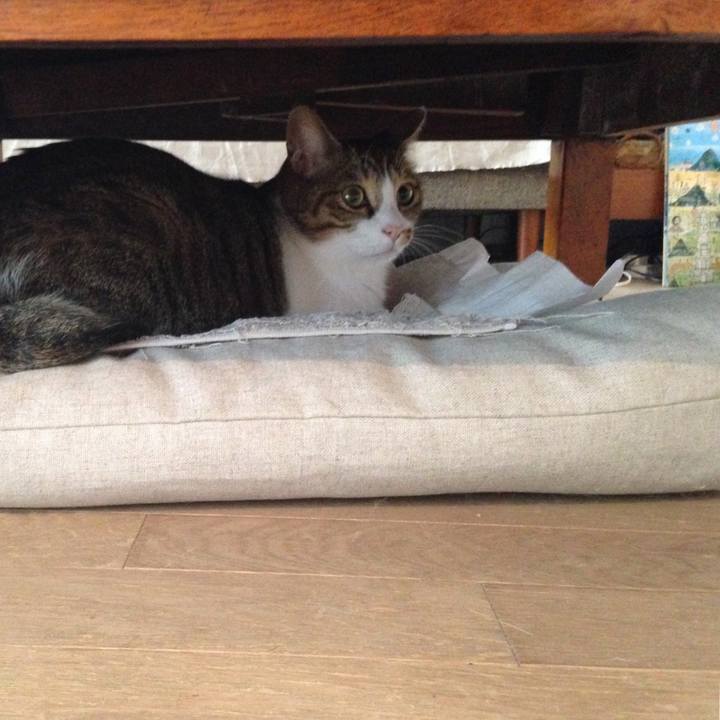 05562899 a4a5 4598 8542 c3e1674c1e3e