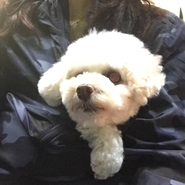 0556693c c07a 4d4a 9865 017c4ea391c2