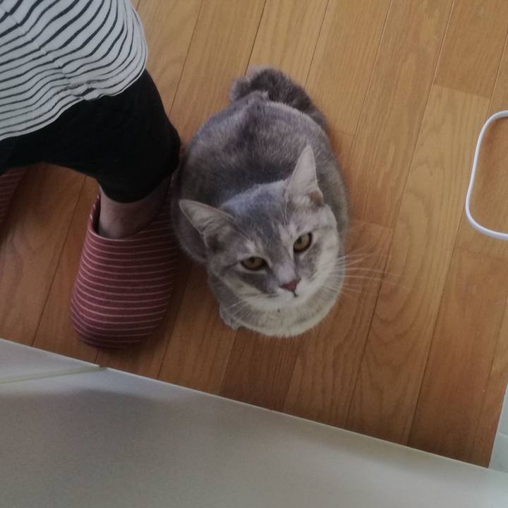 0557aed5 c0cd 45c3 a49c 2695b7d4f8c3