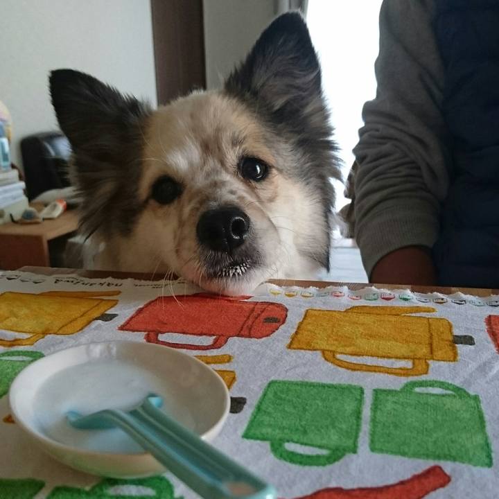 0557afc3 afe0 49c6 9365 c9e5d478a757