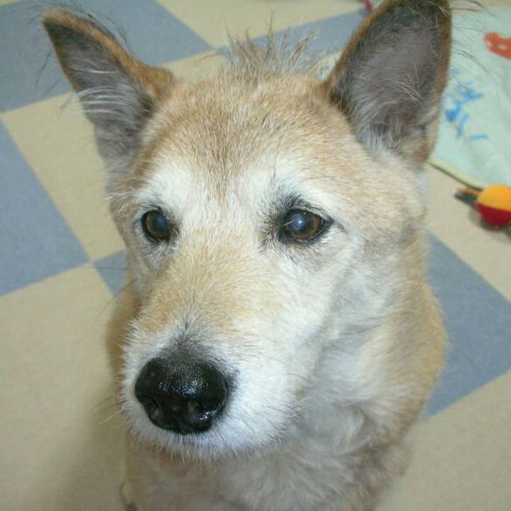 055825f9 9197 4784 bab1 9da0179620a3