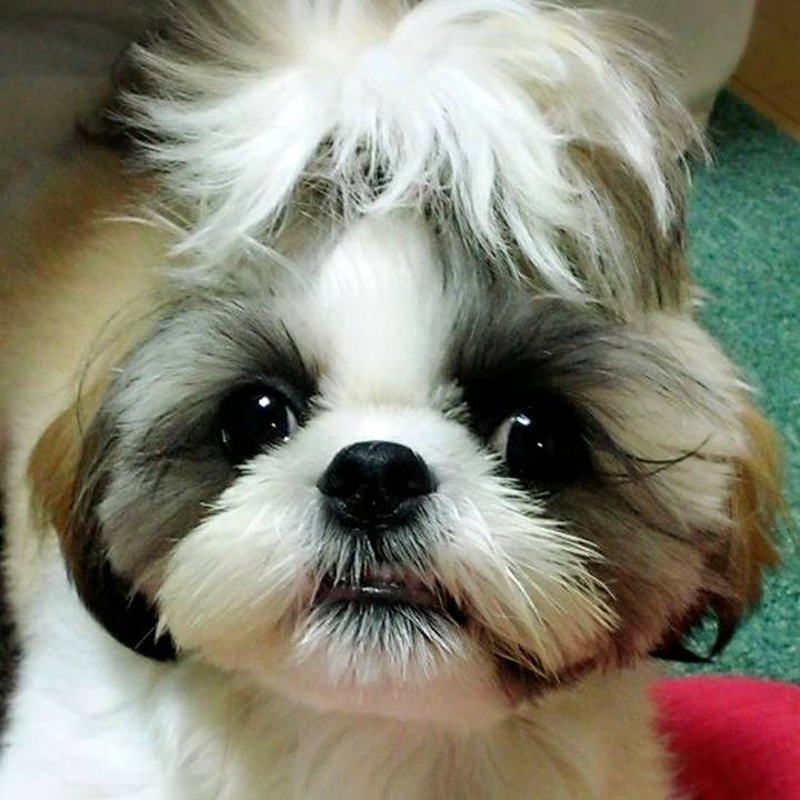 0559b26c d8ad 4829 8d56 f14a9f138219