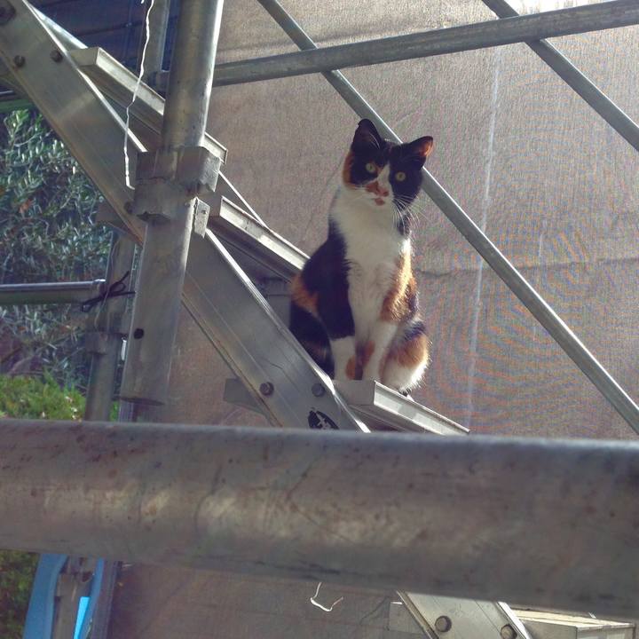 055a64b1 d28f 4cc3 acd9 d6fe71fc362d