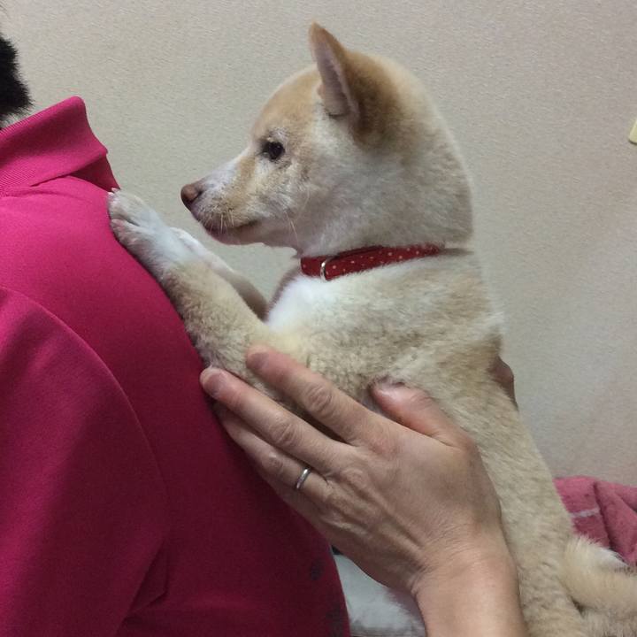 055a88d2 f7d9 4059 980a b14c6df28789